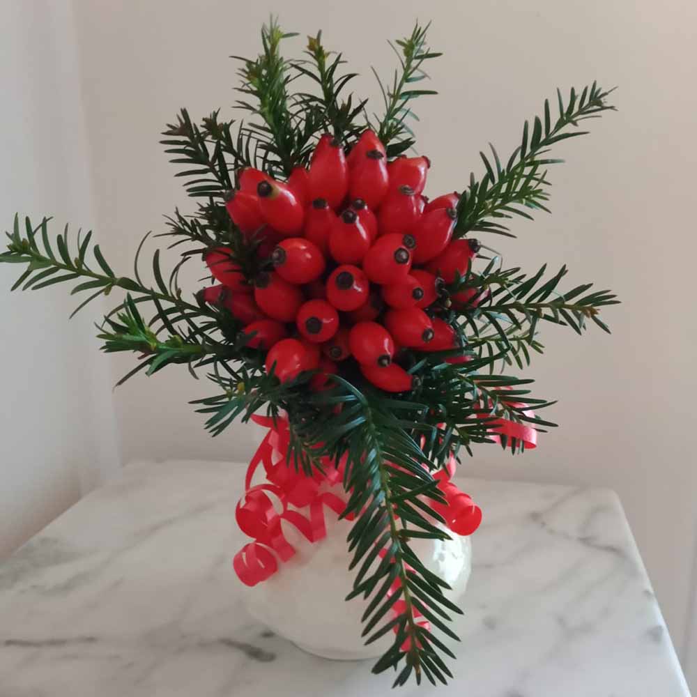 rosa da bacca decorativa azienda agricola cammarata agrigento