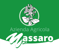 logo massaro cenere azienda agricola cammarata